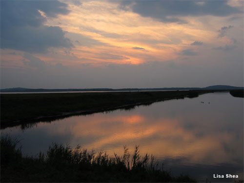 Plum Island Sunset by Lisa Shea