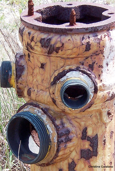 Old Fireplug by Christine Catalano